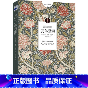 瓦尔登湖 [正版]追逐金色的少年/长青藤国际大奖小说书系 青少年小学生课外阅读书籍儿童文学作品