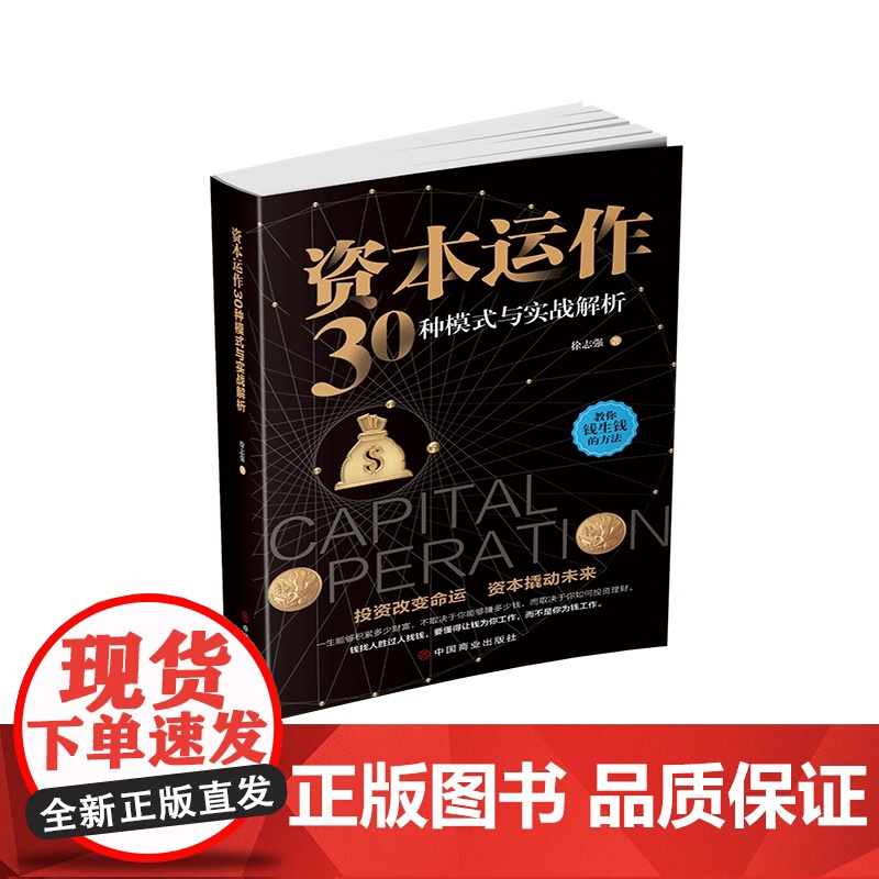 资本运作30种模式与实战解析