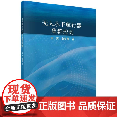 [按需印刷]无人水下航行器集群控制
