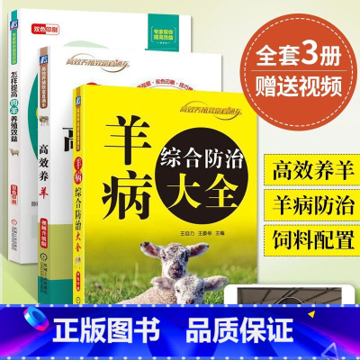 [正版]3册 羊病综合防治大全+高效养羊视频+怎样提高肉羊养殖效益 养羊技术书籍大全 养殖技术教程书诊断全书职业兽医农