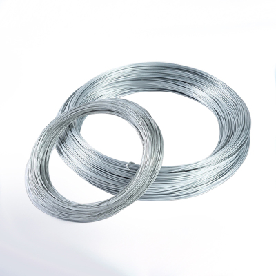 璐盐 镀锌铁丝 2.2mm10千克 捆