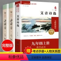 [正版]附赠考题水浒传+艾青诗原著完整版 九年级上册初中生课外书名著 艾青诗选水浒传原著完整版青少年版 初中书籍