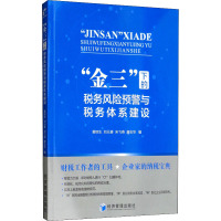 正版书籍 “金三”下的税务风预警与体系建设