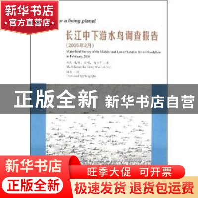 正版 长江中下游水鸟调查报告:[中英文本]:2005年2月:february 20