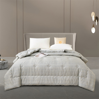 唐纳家纺 防螨卫士四季被 200*230CM/2500G- TN-SAQ24020