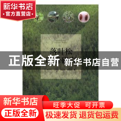 正版 落叶松叶蜂研究 陶文科[等]著 阳光出版社 9787552544039 书