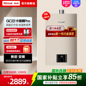 [小蛮腰PRO]林内16升家用恒温燃气热水器16GC22节能ECO变频恒温 同款GD32