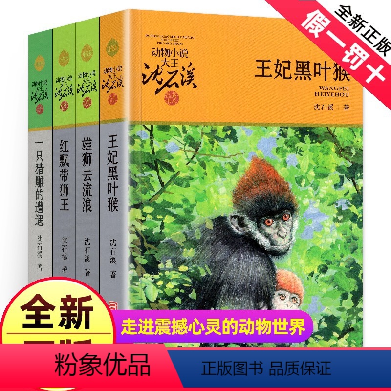 [正版]沈石溪动物小说全集作品全套共4册 王妃黑叶猴 红飘带狮王 雄狮去流浪一只猎雕的遭遇动物小说大王沈石溪品藏书系经