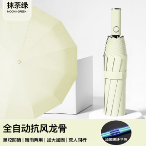 自动伞005