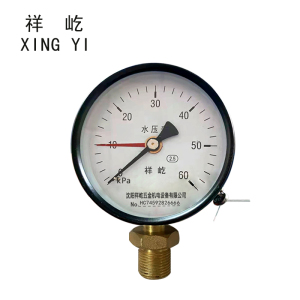 祥屹 水压压力表检测定制型 块