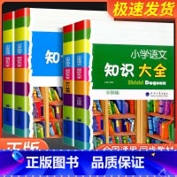 [优惠2本]知识大全+学力检测 小学通用 [正版]经纶学典小学语文知识大全+小学数学知识大全+小学英语知识大全3本 总复
