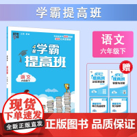 25C 小学提高班 语文 六下全国版