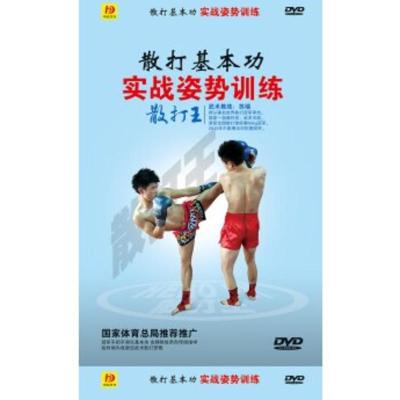男子武术散打基本功实战姿势训练DVD实战训练视频光盘苏瑞李杰