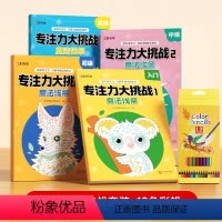 [全套4本+12色彩铅笔]入门+初级+中级+高级 [正版]专注力大挑战魔法线条入门初级中高级左右脑开发注意力思维训练书魔