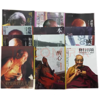 系列顶果钦哲仁波切像顶果钦哲上师全12册