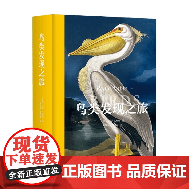 鸟类发现之旅 马克·艾弗里 著 科普读物