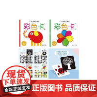 共2册 海润阳光 宝宝视觉激发:彩色卡1+彩色卡2 0-3岁婴幼儿早教启蒙 逻辑思维训练 幼儿园小班中班大班 孩子早教学