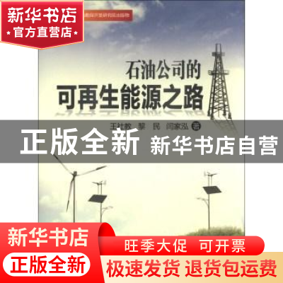 正版 石油公司的可再生能源之路 王社教,黎民,闫家泓著 石油工