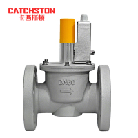 卡西斯顿 防爆电磁阀 常闭法兰DN80 个