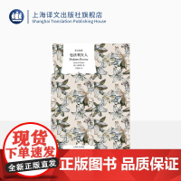 包法利夫人 福楼拜著 李健吾译 译文经典 经典译本 新艺术法典法国文学 上海译文出版社 正版