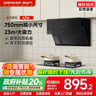 老板名气吸油烟机CXW-300-A316