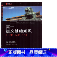 [正版]高一 语文基础知识 强化训练黑皮语文系列 高中语文专项练习分题型强化高中语文基础知识手册训练 高中基础知识大全
