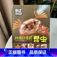 [单册]好怪好怪的昆虫 [正版]暴读百科好多好多的动物好怪好怪的昆虫好大好大的宇宙小学生科普课外阅读读物书籍1-6年级小