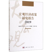 音像2019宏观经济政策研究报告陈彦斌 等