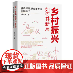 乡村振兴如何开新局——理论创新、战略重点和关键路径