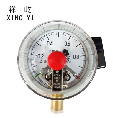 祥屹+磁助电接点压力表检测定制型+YXC100+块