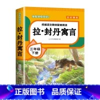 [单本]拉•封丹寓言 [正版]全4册 中国古代寓言故事三年级下册快乐读书吧全套阅读书目 伊索寓言克雷洛夫寓言拉封丹寓言故