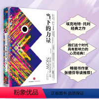 [正版]书籍当下的力量(白金版)身心灵大师埃克哈特·托利经典之作 我们这个时代具有影响力的心灵经典 张德芬导读