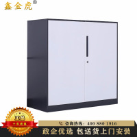 鑫金虎（XIN JIN HU) 钢制套色拆装文件柜资料柜档案柜其他金属套色文件柜对开门矮柜文件柜