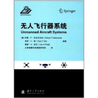 音像飞行器系统