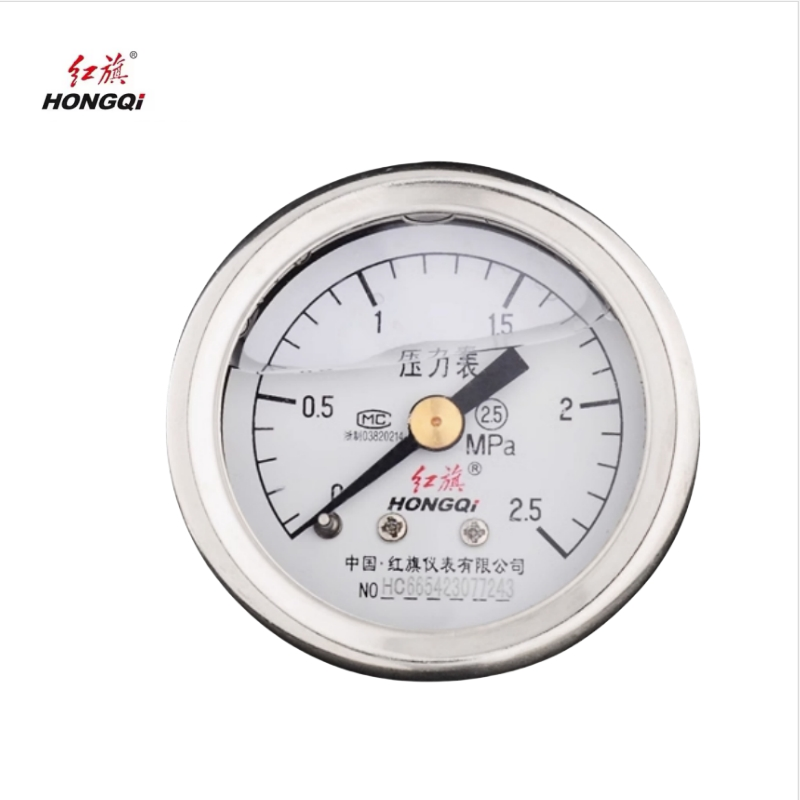 红旗 轴向耐震压力表定制检测款YTN50Z (压力值需备注) 块