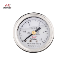 红旗 轴向耐震压力表定制检测款YTN50Z (压力值需备注) 块