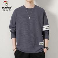 啄木鸟卫衣男士2025年秋季新款宽松休闲运动上衣服圆领长袖T恤男