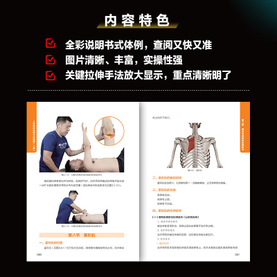 人体肌肉拉伸手法图解(上肢)