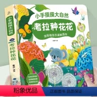 小手摸摸大自然·考拉种花花 [正版]小手摸摸大自然考拉种花花触摸书 婴儿书早教绘本宝宝1岁半立体书 幼儿启蒙不烂触感刺激