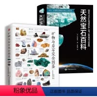[正版]2册 矿物与岩石完全图鉴+天然宝石百科 自然科普类爱好者书籍矿物与颜料调配配色知识研究