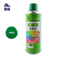伽熠 自喷漆草绿色(400mL) 门窗金属防锈家具木器漆自行摩托汽车翻新涂鸦