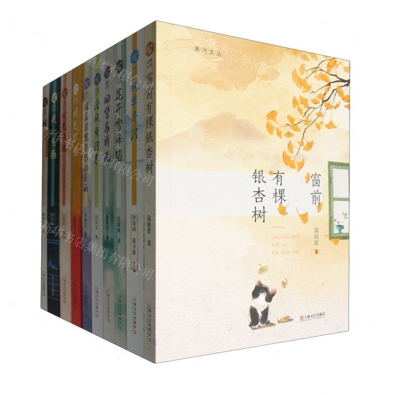 [N]黄河文丛(共10册)-9787532189472