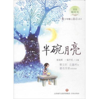 正版新书]青春暖时光?半碗月亮陈晓辉9787548827580