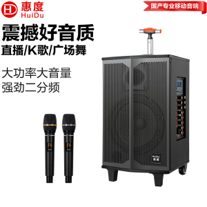 惠度(HuiDu)专业双数字直播OTG直播音箱立体环绕电视娱乐音响户外移动拉杆音箱