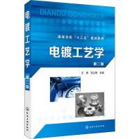 电镀工艺学第二版王玥冯立明主编实用电镀技术书籍电镀液配方与制作现代电镀技