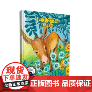 小毛驴黛西