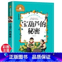 [正版]宝葫芦的秘密注音版张天翼二年级下册三年级下册四年级下册少年儿童课外书文学北京日报出版社宝胡芦的秘密