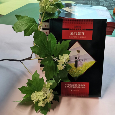 中小学生必读丛书:爱的教育