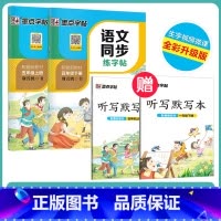 [语文描红套装]5年级上册+下册(送听写默写本) 小学五年级 [正版]五年级练字帖小学生每日一练写字帖2023年荆霄鹏楷