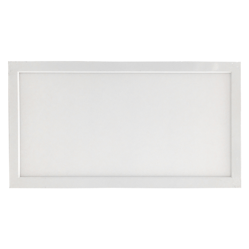 光大特照 EBF205-24W 220V LED面板灯 (计价单位:台) 银色